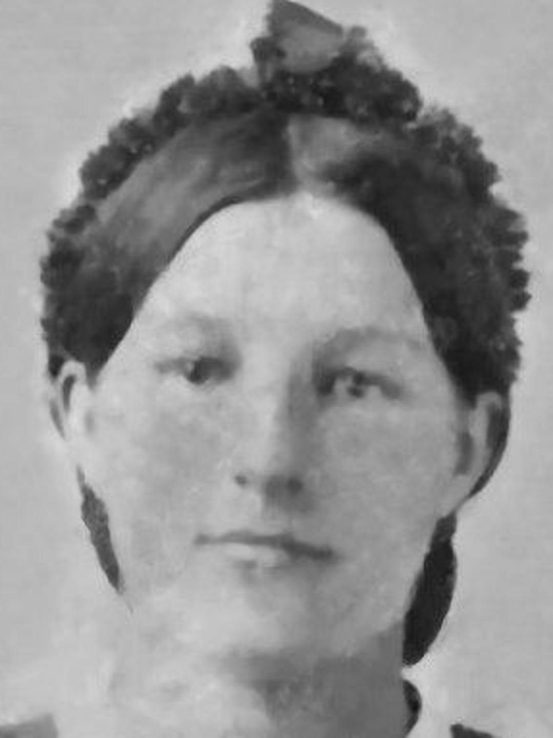 Lavenia Chadwick Heninger (1845 - 1889) Profile
